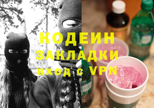 ПСИЛОЦИБИНОВЫЕ ГРИБЫ Михайлов