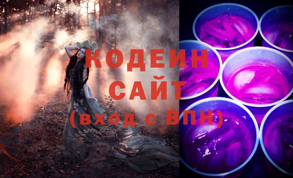 ПСИЛОЦИБИНОВЫЕ ГРИБЫ Михайлов