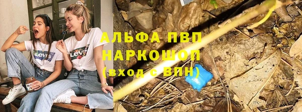 ПСИЛОЦИБИНОВЫЕ ГРИБЫ Михайлов