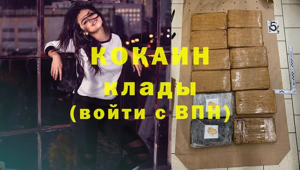 ПСИЛОЦИБИНОВЫЕ ГРИБЫ Михайлов