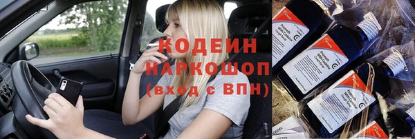 прущие грибы Михайловск