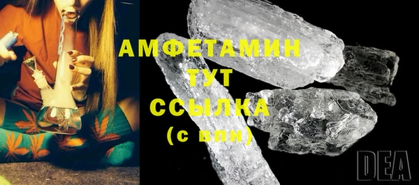 ПСИЛОЦИБИНОВЫЕ ГРИБЫ Михайлов