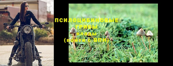твердый Михайловка
