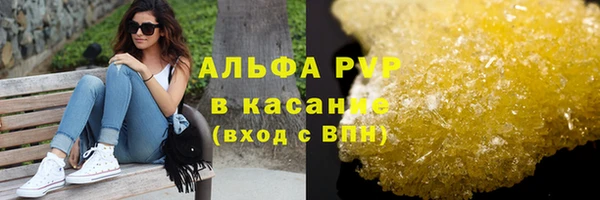 ПСИЛОЦИБИНОВЫЕ ГРИБЫ Михайлов
