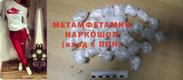 ПСИЛОЦИБИНОВЫЕ ГРИБЫ Михайлов